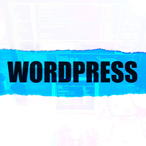 WordPress Website