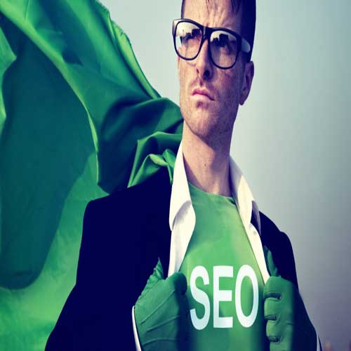 My Business Need SEO